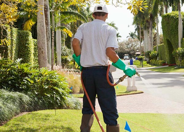 About Wickenburg AZ Pest Control Pros
